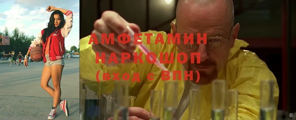 твердый Ельня