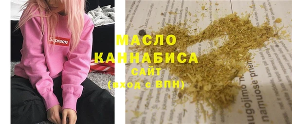 твердый Ельня