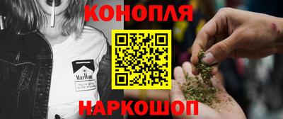 прущие грибы Гагарин