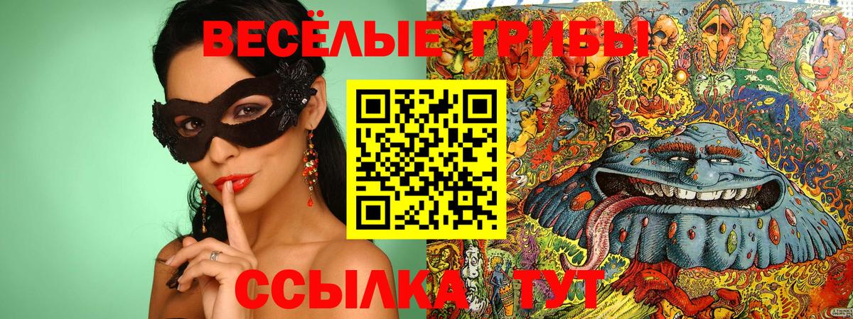 Галлюциногенные грибы GOLDEN TEACHER  Вход с VPN  Еманжелинск 