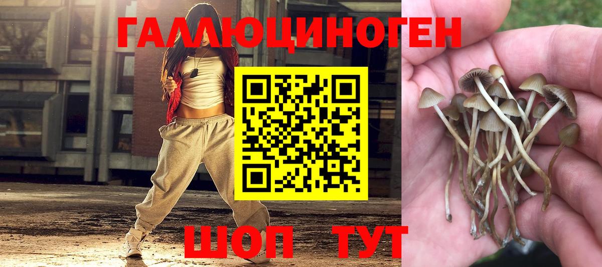 Псилоцибиновые грибы MAGIC MUSHROOMS Еманжелинск